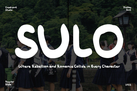 Sulo: A Designer's Honest Review for Real Branding